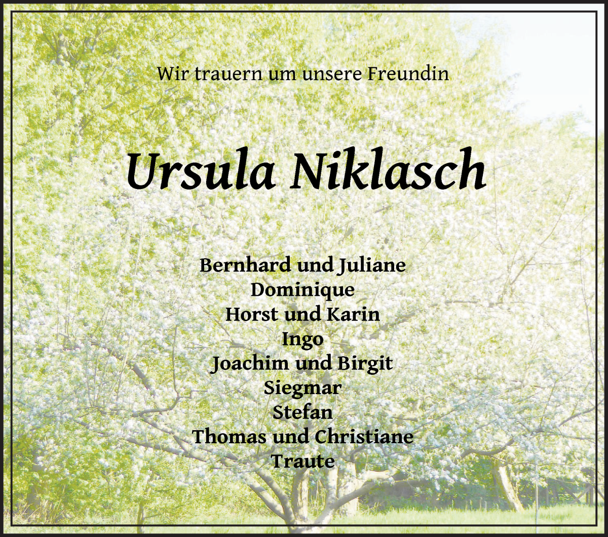 Traueranzeige von Ursula Niklasch von Die Norddeutsche